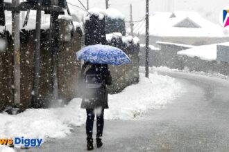 पहाड़ों Cold wave in North india