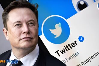 लीगेसी ब्लू Elon Musk and Twitter Blue tick