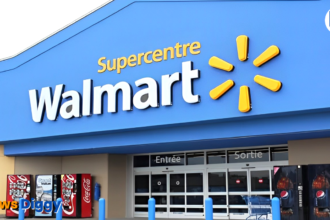 Walmart India plan